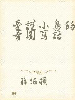 爱护小鸟的一幅看图写话