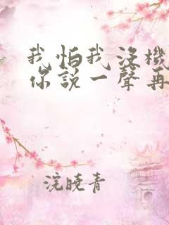 我怕我没机会跟你说一声再见歌名