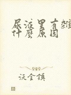 尿液里有杂质是什么原因