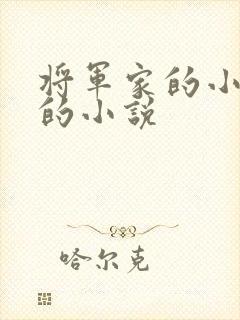 将军家的小娇娘的小说