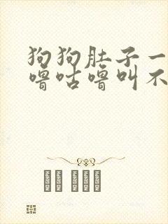 狗狗肚子一直咕噜咕噜叫不吃东西