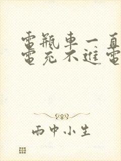 电瓶车一直没充电充不进电怎么办