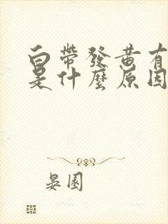 白带发黄有恶臭是什么原因