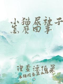 小猫尿被子上是怎么回事