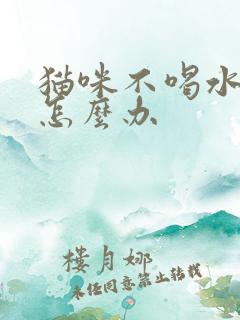 猫咪不喝水不尿怎么办