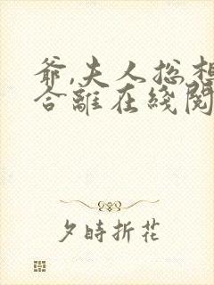 爷,夫人总想要合离在线阅读阅读全文