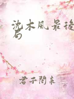 沈木风最后的结局