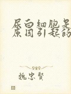 尿白细胞是什么原因引起的