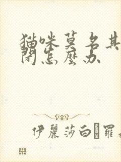 猫咪莫名其妙尿闭怎么办