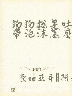 狗狗总是吐黄水带泡沫怎么办