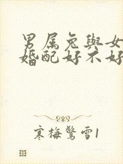 男属兔与女属兔婚配好不好