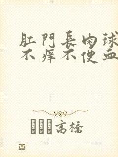 肛门长肉球不疼不痒不便血