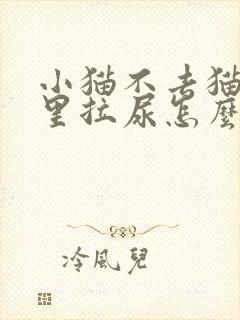 小猫不去猫砂盆里拉尿怎么办