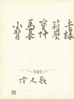 小马宝莉卡片彩背长什么样