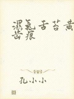 湿气舌苔黄腻有齿痕