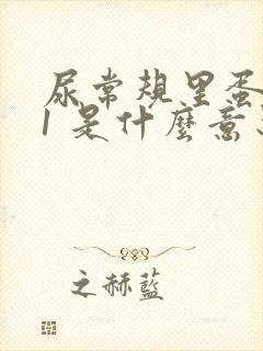 尿常规里蛋白质1 是什么意思