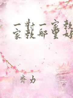 一对一家教上门家教哪里好