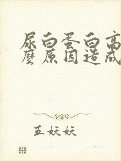 尿白蛋白高是什么原因造成的