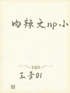 肉辣文np小说