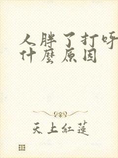 人胖了打呼噜是什么原因