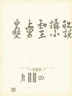 皇上和摄政王的双男主小说