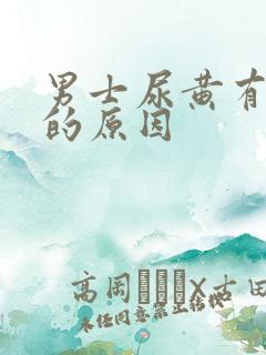 男士尿黄有异味的原因