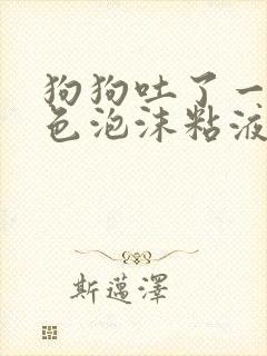 狗狗吐了一滩白色泡沫粘液应该咋办