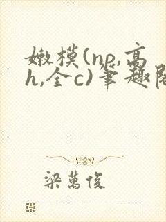 嫩模(np,高h,全c)笔趣阁