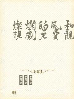 灿烂的风和海电视剧免费观看全集