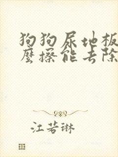 狗狗尿地板上怎么擦能去除骚味