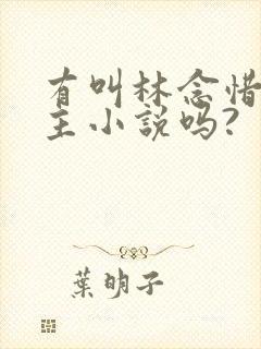 有叫林念惜的女主小说吗?