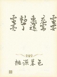 电动车充电绿灯亮了还需要充多久