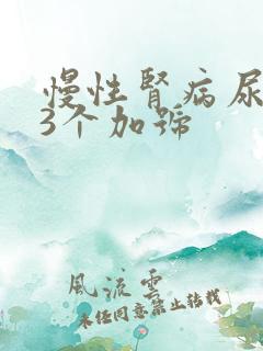 慢性肾病尿蛋白3个加号