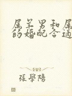 属羊男和属龙女的婚配合适吗