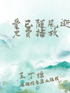 爱已随风逝短剧免费播放