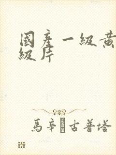 国产一级黄色一级片