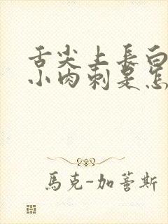 舌尖上长白色的小肉刺是怎么回事