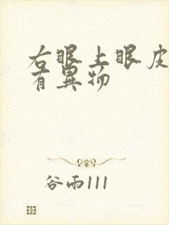 右眼上眼皮感觉有异物