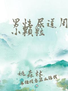 男性尿道周围长小颗粒