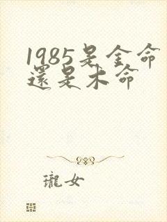 1985是金命还是木命