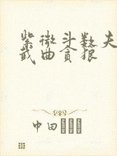 紫微斗数夫妻宫武曲贪狼