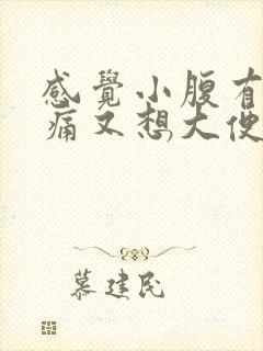 感觉小腹有点胀痛又想大便拉不出来