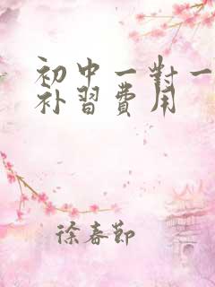 初中一对一化学补习费用