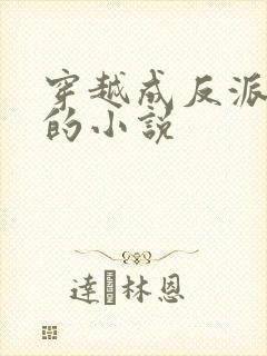 穿越成反派男主的小说