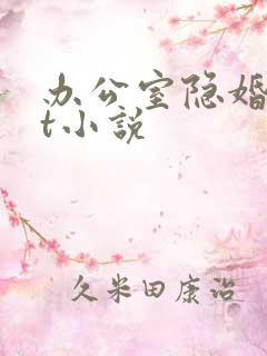 办公室隐婚txt小说