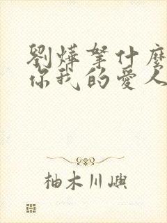 刘烨拿什么拯救你我的爱人