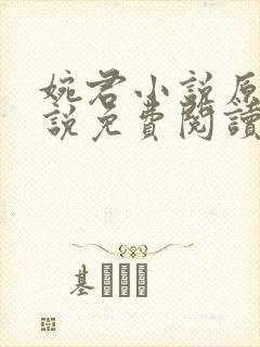 婉君小说原著小说免费阅读