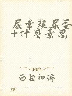 尿常规尿蛋白1+什么意思