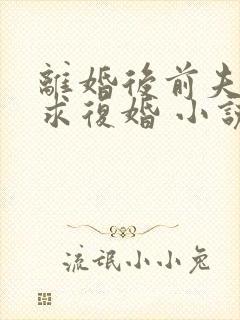 离婚后前夫哭着求复婚 小说阅读