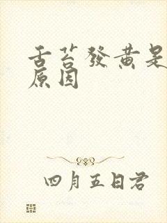 舌苔发黄是怎么原因